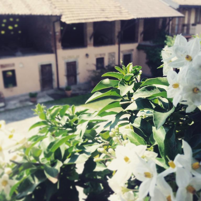 Agriturismo Cascina Magana Burago di Molgora Екстериор снимка